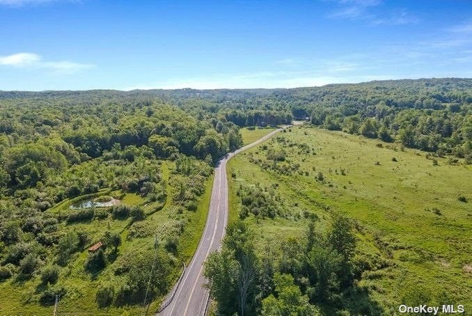 L8-111 Churches Rd Ridge Delanson, NY 12053 - Photo 22 of 29