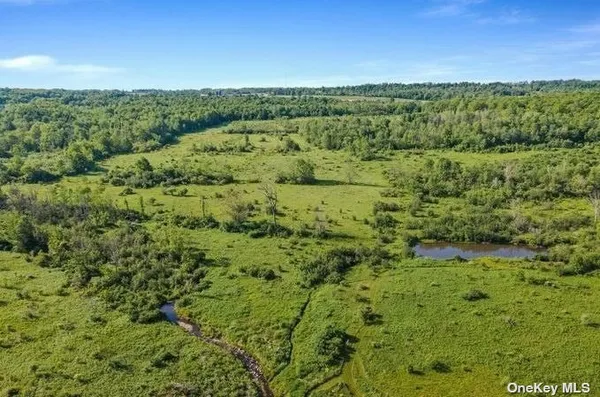 $424,999 | L8-111 Churches Rd Ridge, Delanson, NY 12053