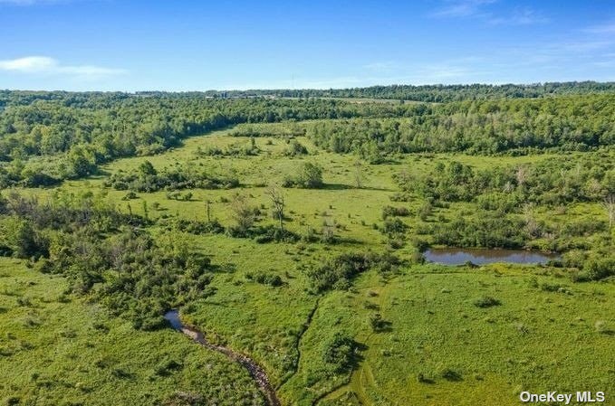 L8-111 Churches Rd Ridge Delanson, NY 12053 - Photo 23 of 29