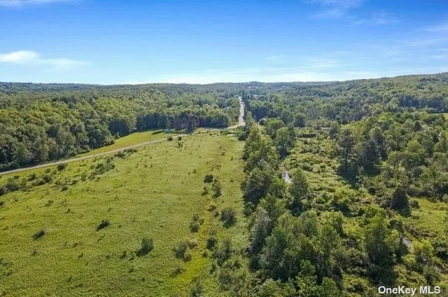 $424,999 | L8-111 Churches Rd Ridge, Delanson, NY 12053