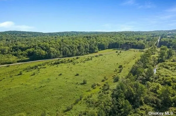 $424,999 | L8-111 Churches Rd Ridge, Delanson, NY 12053