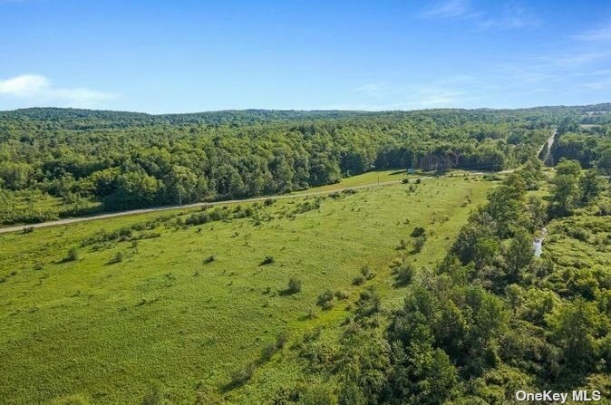 L8-111 Churches Rd Ridge Delanson, NY 12053 - Photo 25 of 29