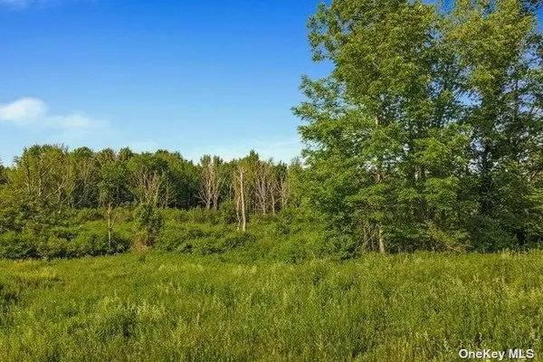 $424,999 | L8-111 Churches Rd Ridge, Delanson, NY 12053