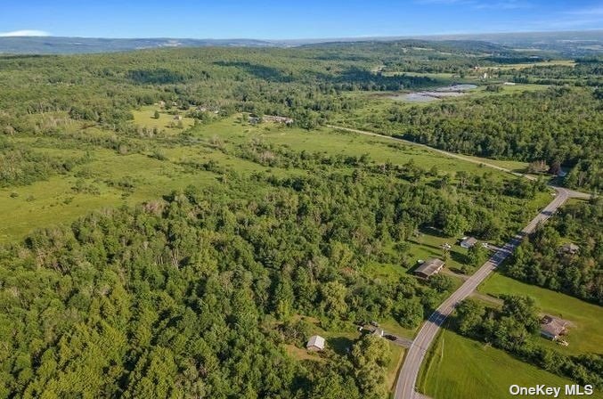 L8-111 Churches Rd Ridge Delanson, NY 12053 - Photo 4 of 29