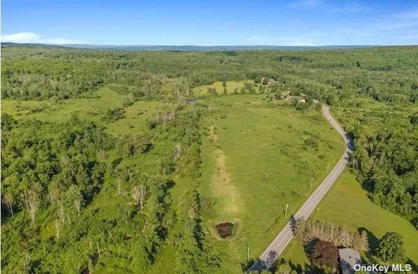 $424,999 | L8-111 Churches Rd Ridge, Delanson, NY 12053