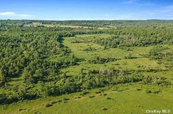 $424,999 | L8-111 Churches Rd Ridge, Delanson, NY 12053