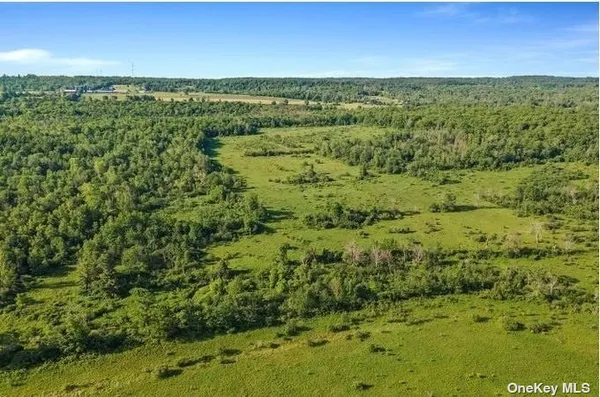 $424,999 | L8-111 Churches Rd Ridge, Delanson, NY 12053