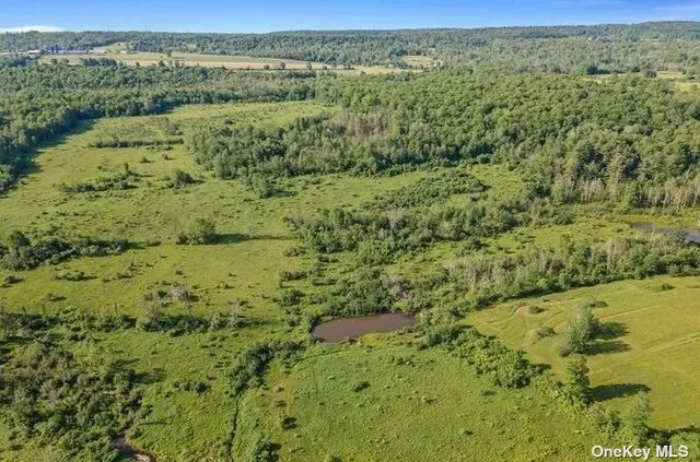 $424,999 | L8-111 Churches Rd Ridge, Delanson, NY 12053