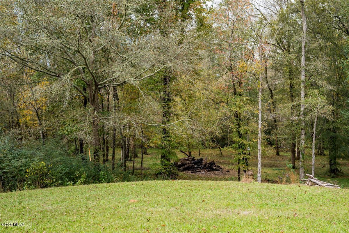 146 Old Graham Road Gray, GA 31032 - Photo 30 of 33 a view of backyard with tall trees