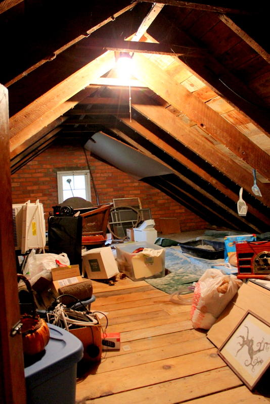 3602 Cove Road Roanoke, VA 24017 - Photo 20 of 36 IMG_6236