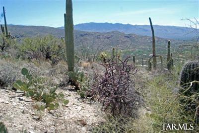 12265 East Coronado Road, Unit 46 Tucson, AZ 85749 - Photo 16 of 41
