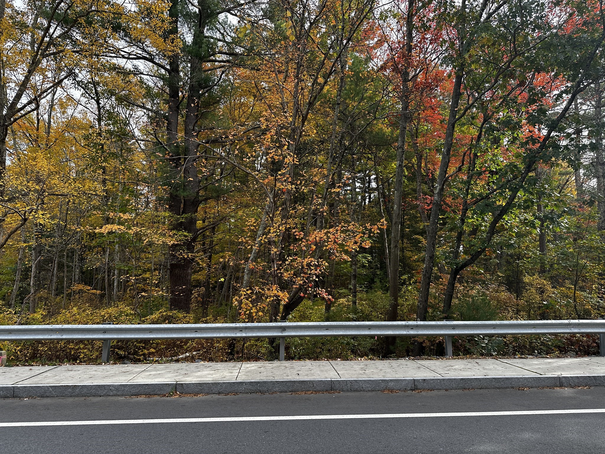 0 High Street Upton, MA 01568 - Photo 2 of 2 Gallery Image 2