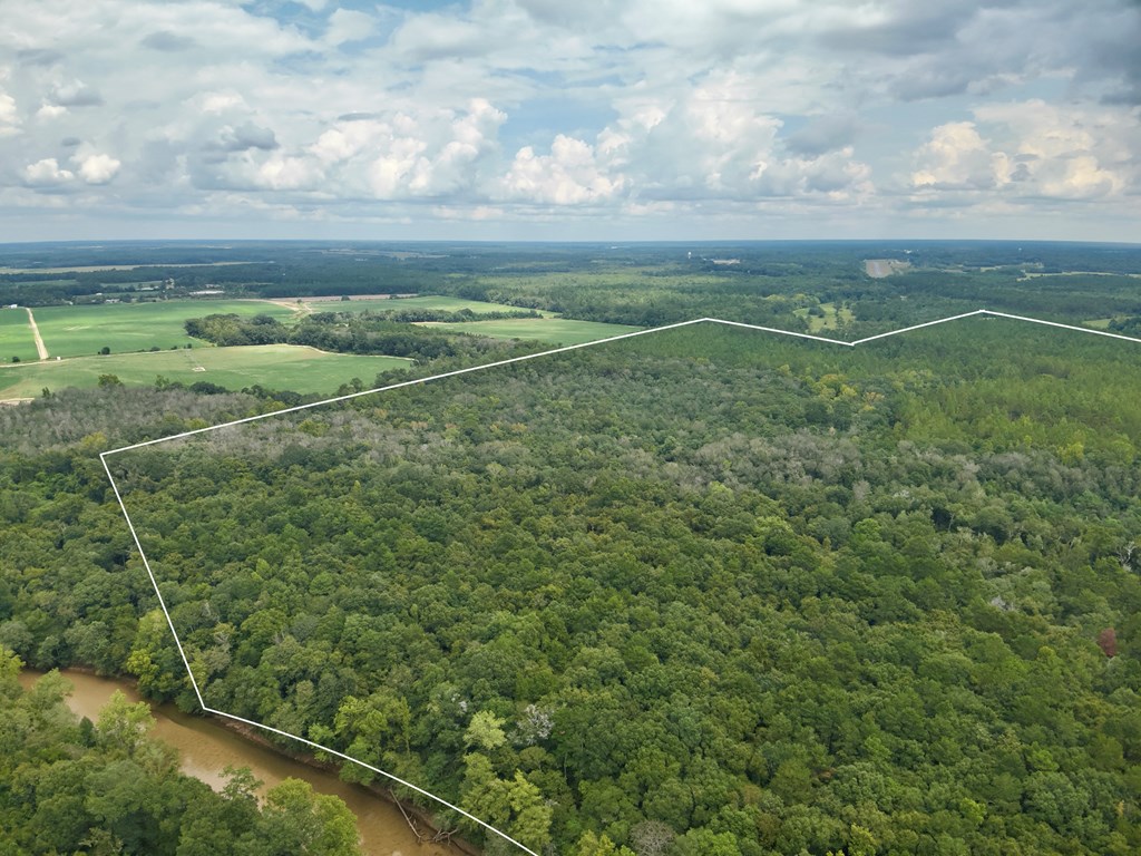 202-acres Columbus Holley Road Samson, AL 36477 - Photo 33 of 50