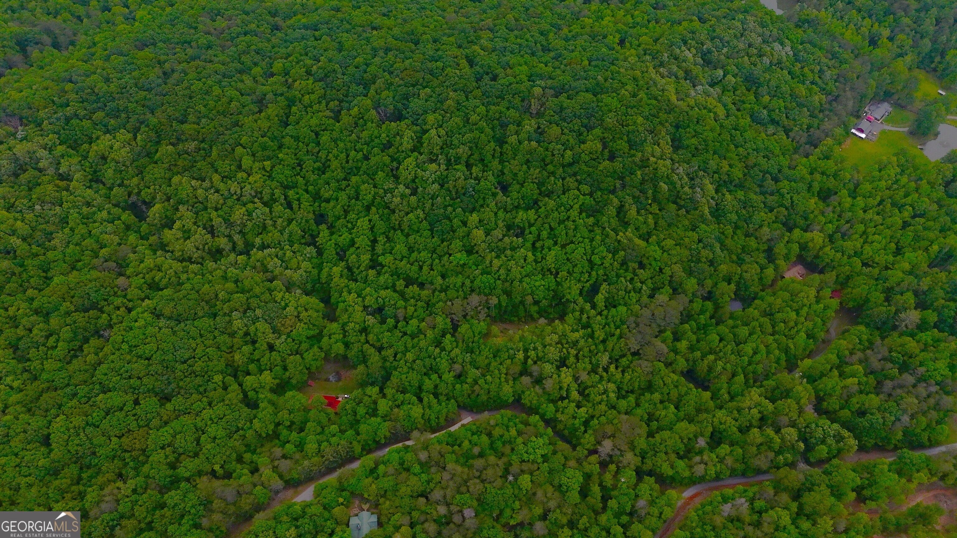 0 Nocona Trail Ellijay, GA 30536 - Photo 12 of 18