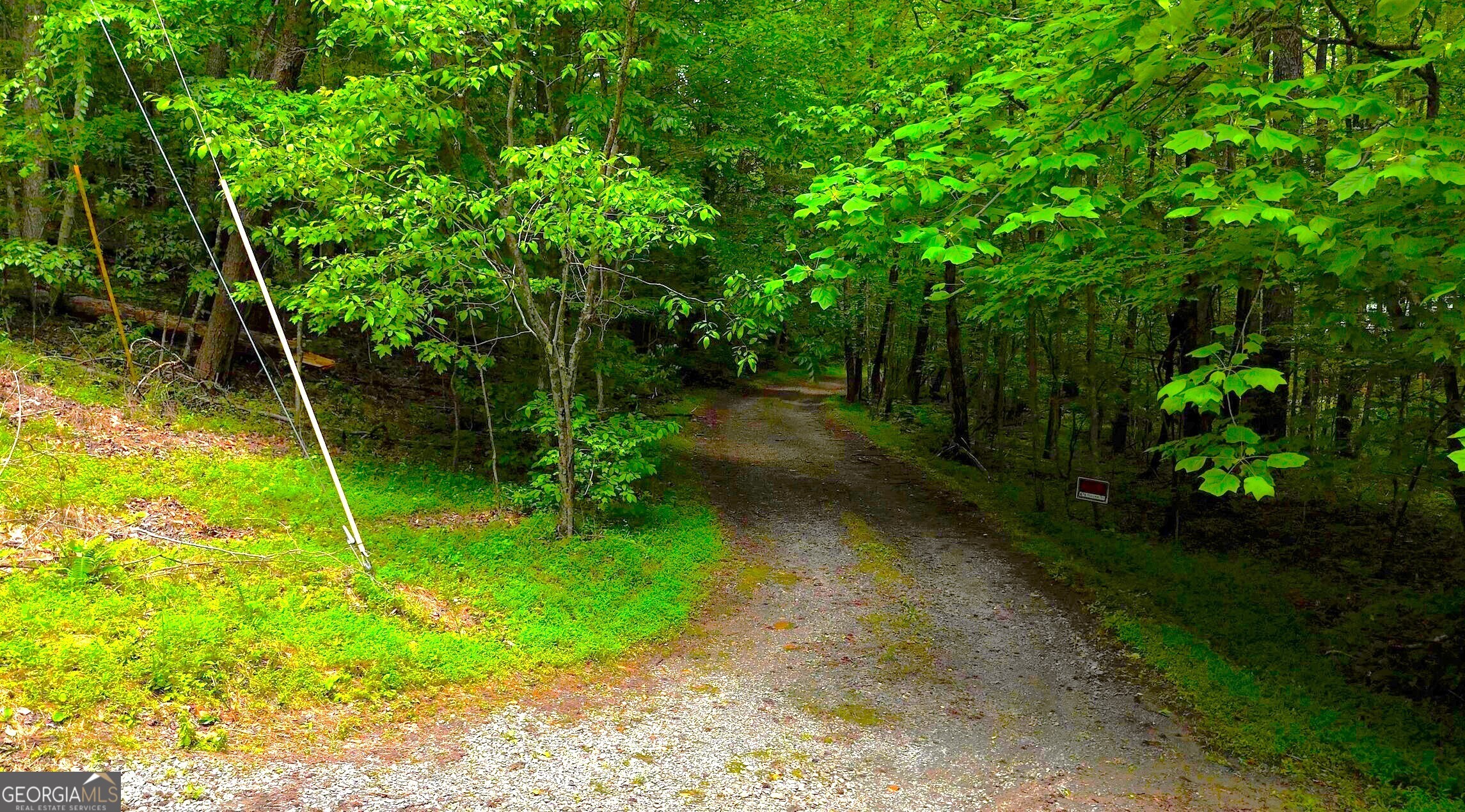 0 Nocona Trail Ellijay, GA 30536 - Photo 16 of 18