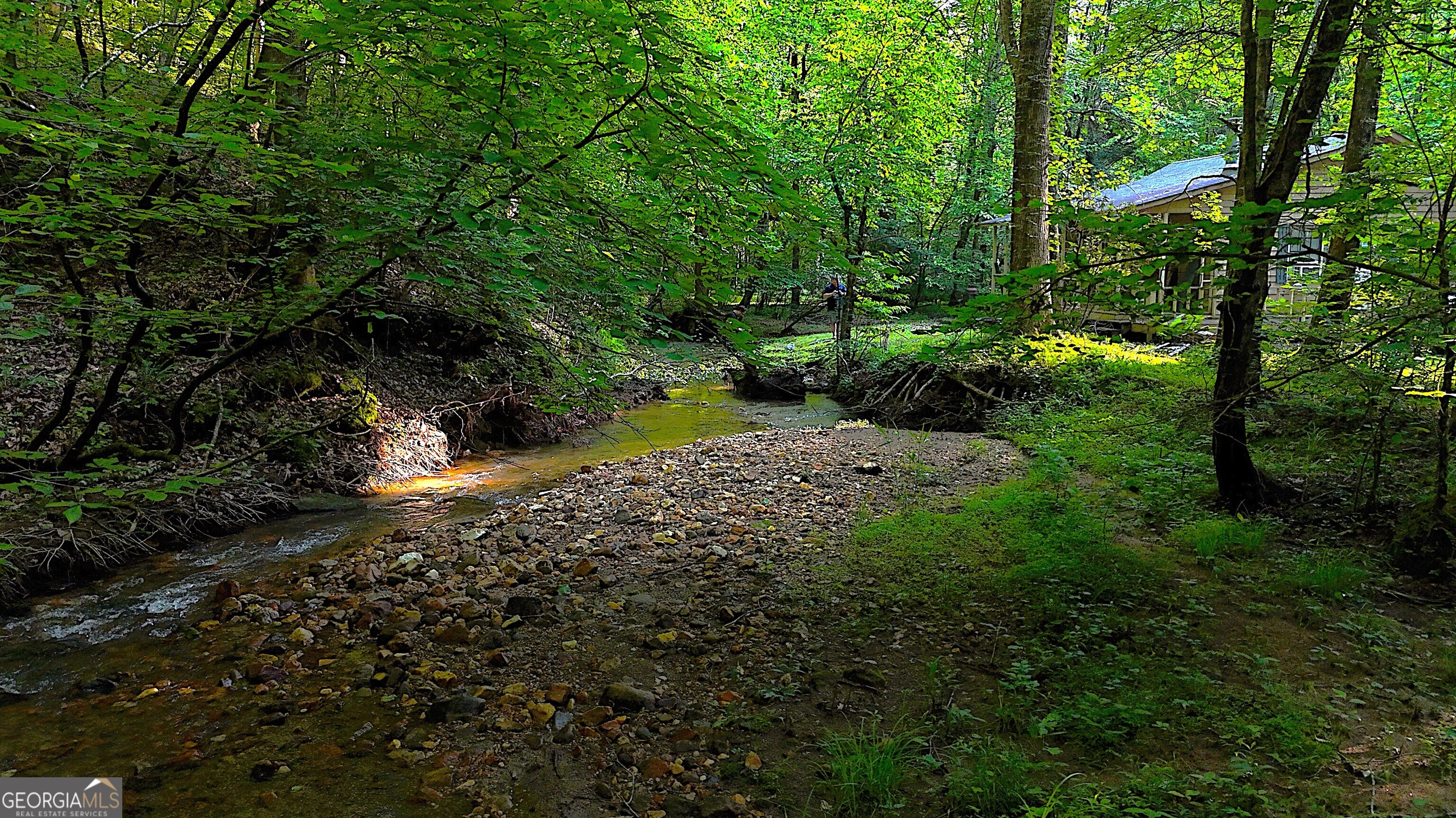 0 Nocona Trail Ellijay, GA 30536 - Photo 2 of 18