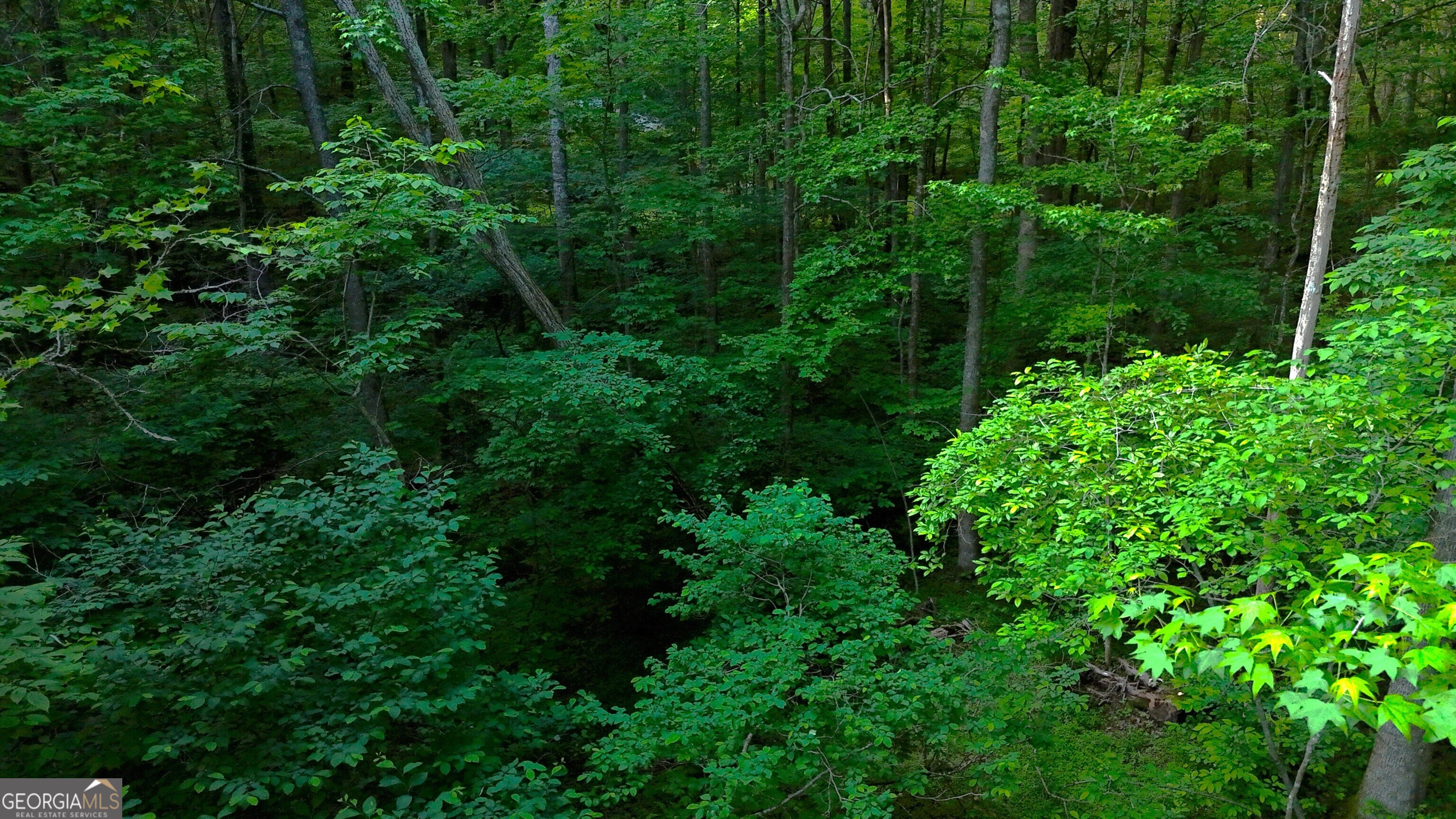 0 Nocona Trail Ellijay, GA 30536 - Photo 3 of 18