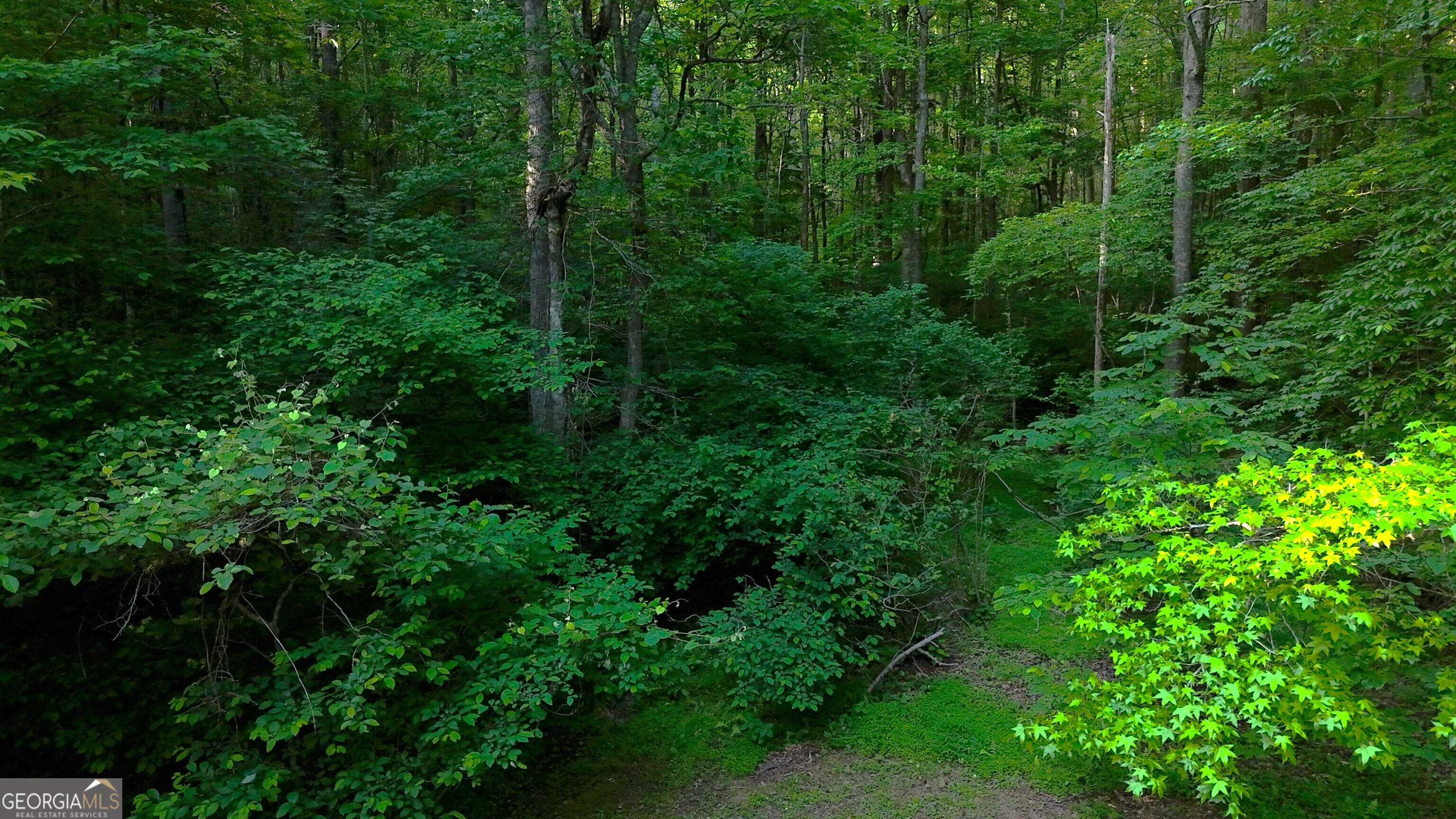 0 Nocona Trail Ellijay, GA 30536 - Photo 4 of 18