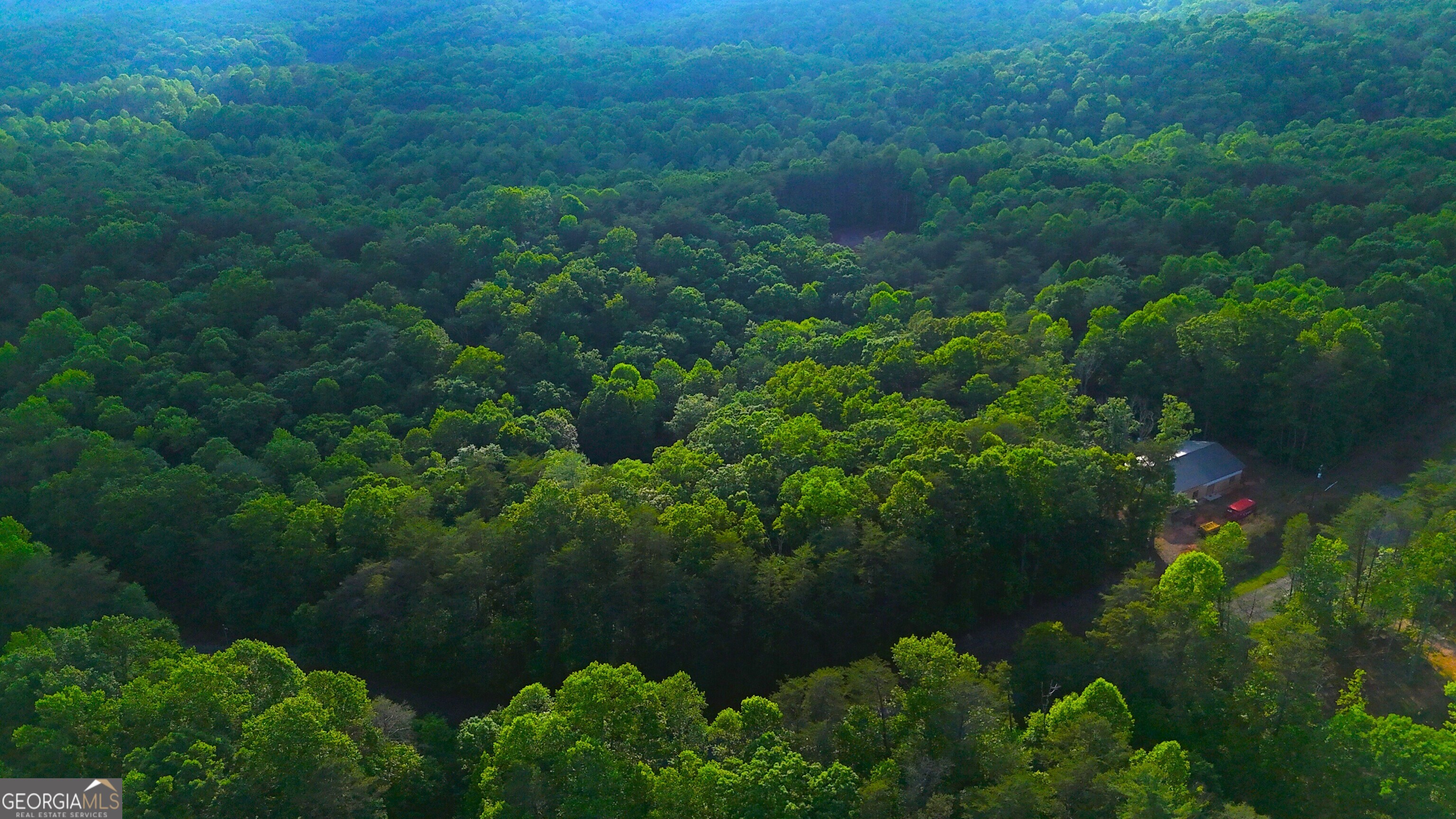 0 Nocona Trail Ellijay, GA 30536 - Photo 5 of 18