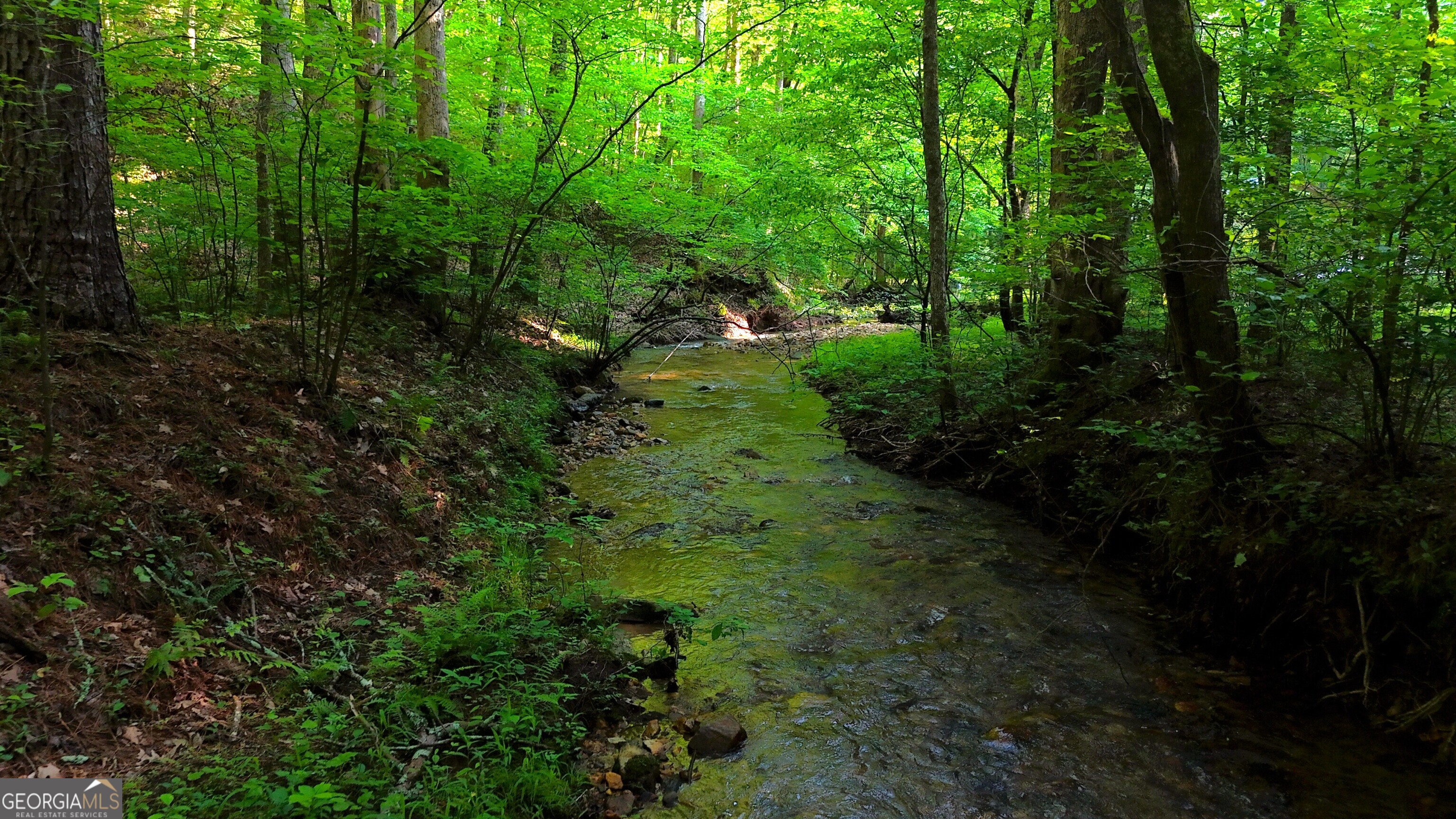 0 Nocona Trail Ellijay, GA 30536 - Photo 7 of 18