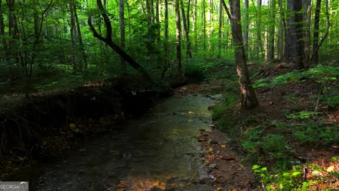 $55,000 | 0 Nocona Trail, Ellijay, GA 30536