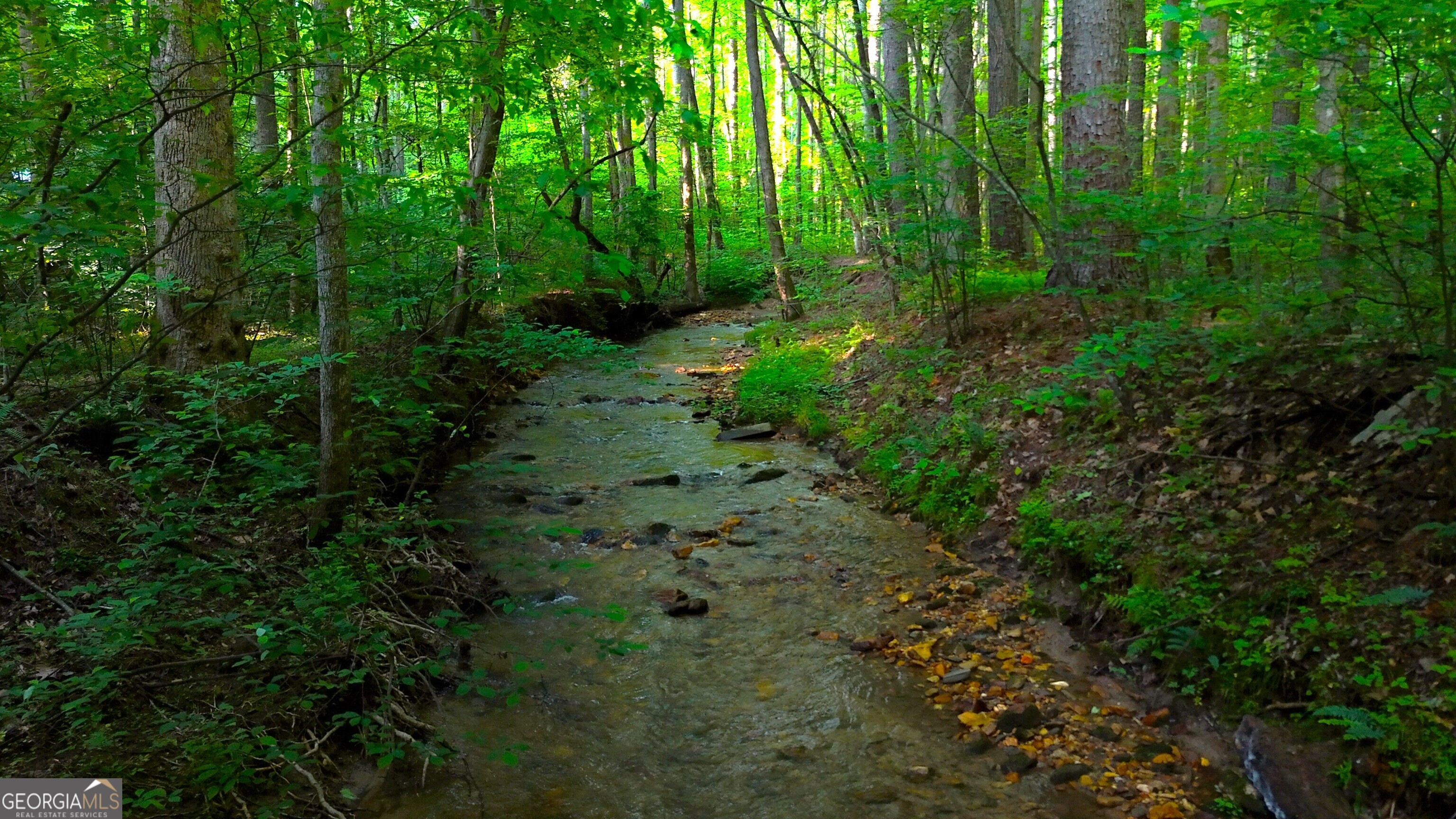 0 Nocona Trail Ellijay, GA 30536 - Photo 9 of 18