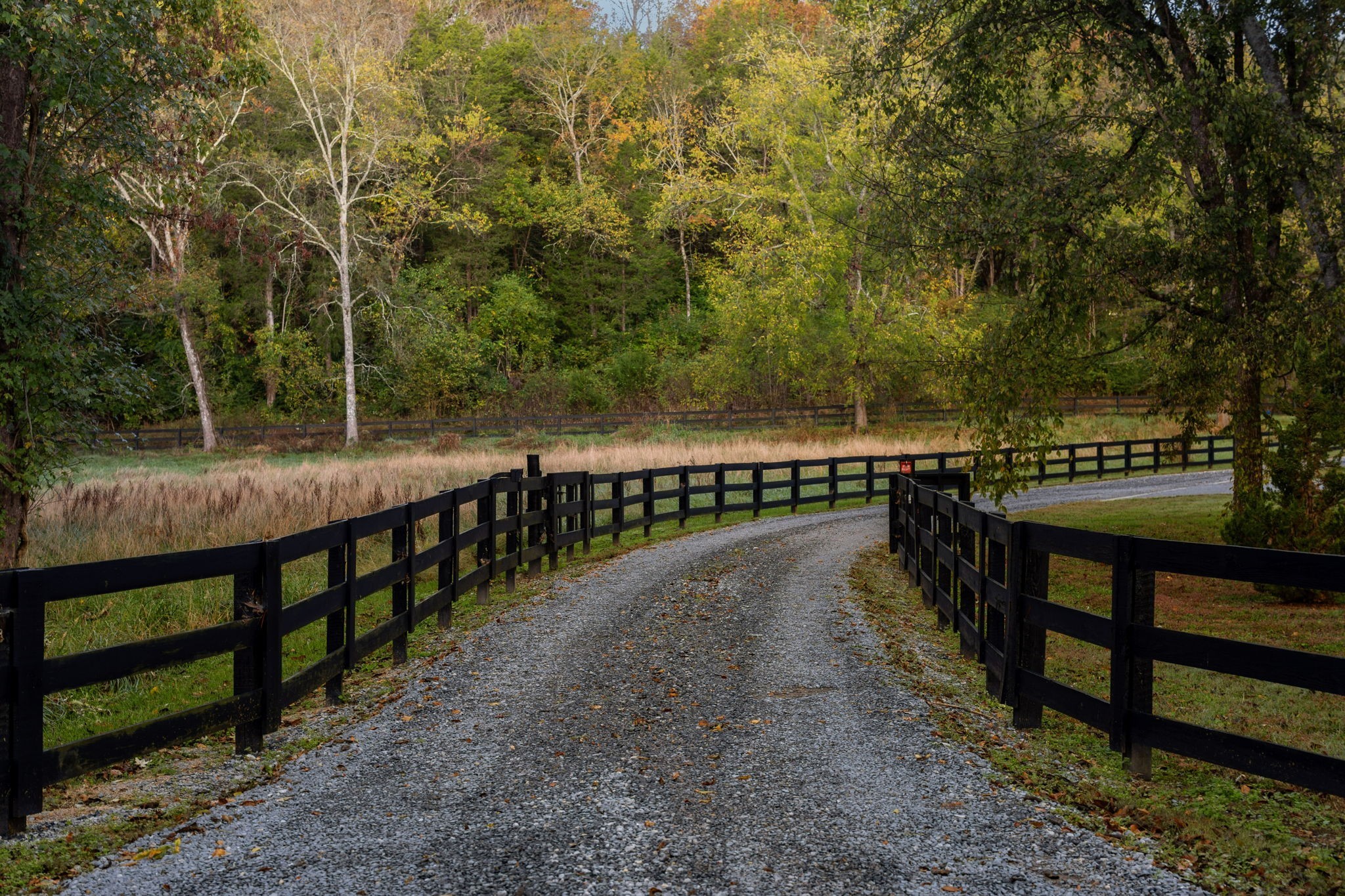 2064 Old Hillsboro Road Franklin, TN 37064 - Photo 4 of 57