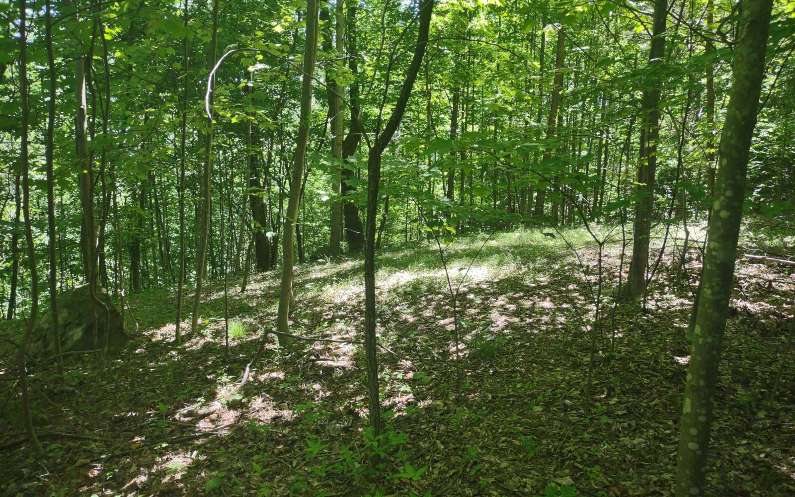 9 Meadow Loop Ellijay, GA 30536 - Photo 13 of 21 Additional View