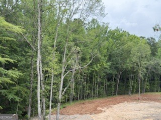 2180 Dunn Road Molena, GA 30258 - Photo 7 of 29 Gallery Image 7