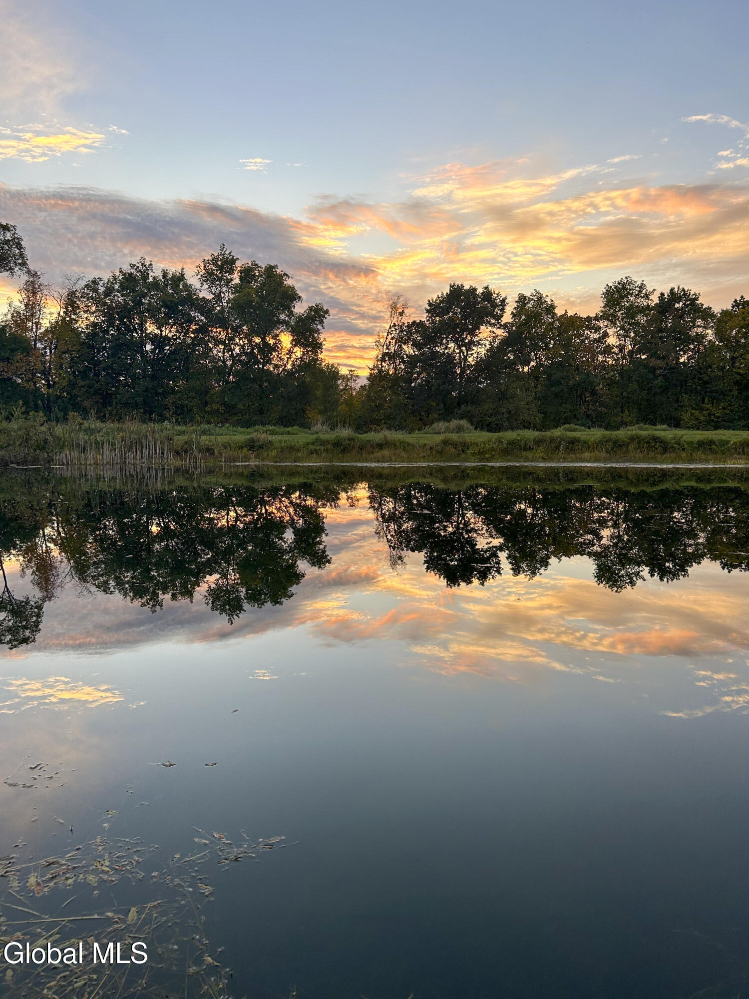182 Charlton Road Ballston, NY 12020 - Photo 40 of 47 Summer Photos-2