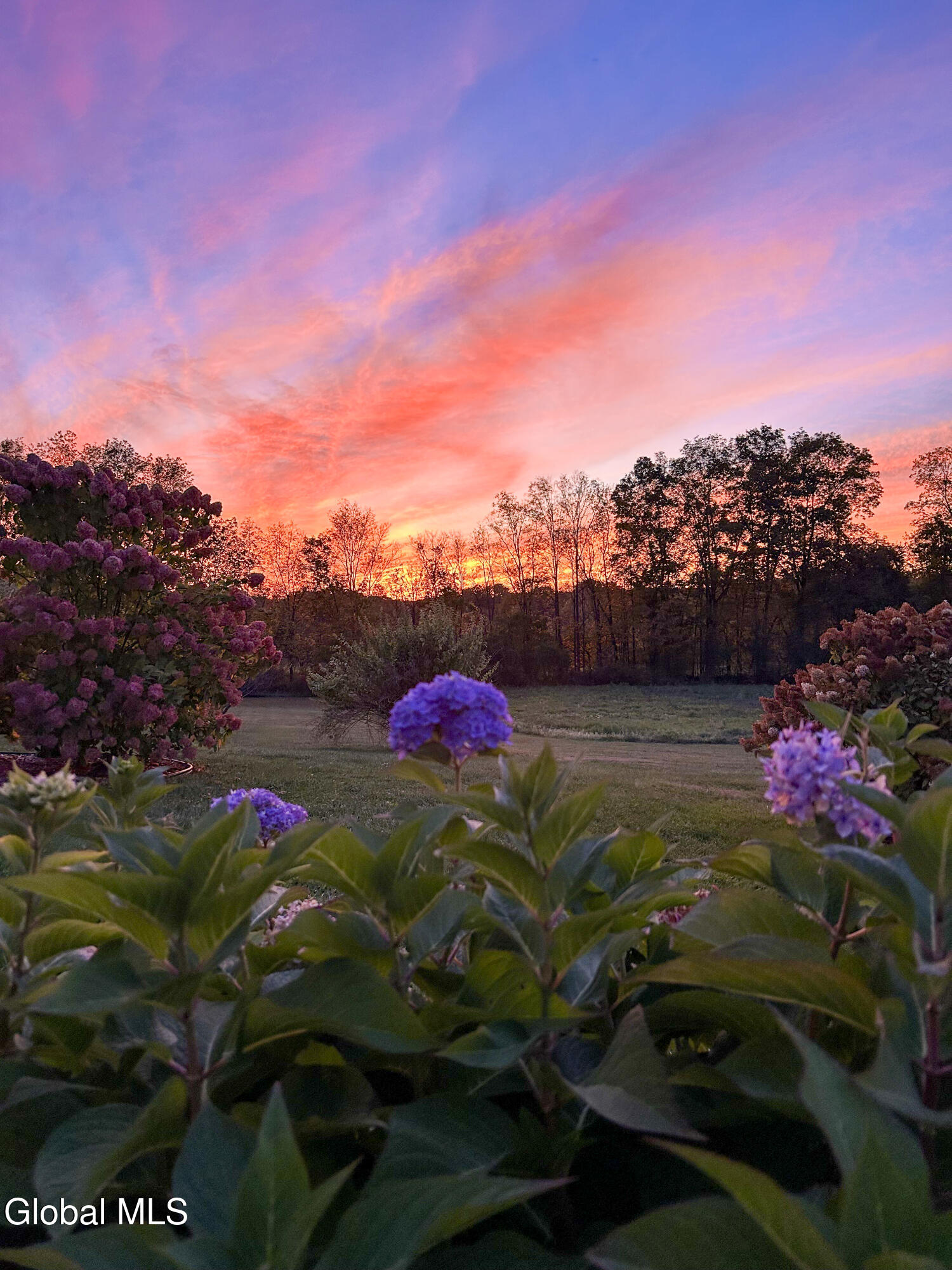 182 Charlton Road Ballston, NY 12020 - Photo 41 of 47 Summer Photos-3