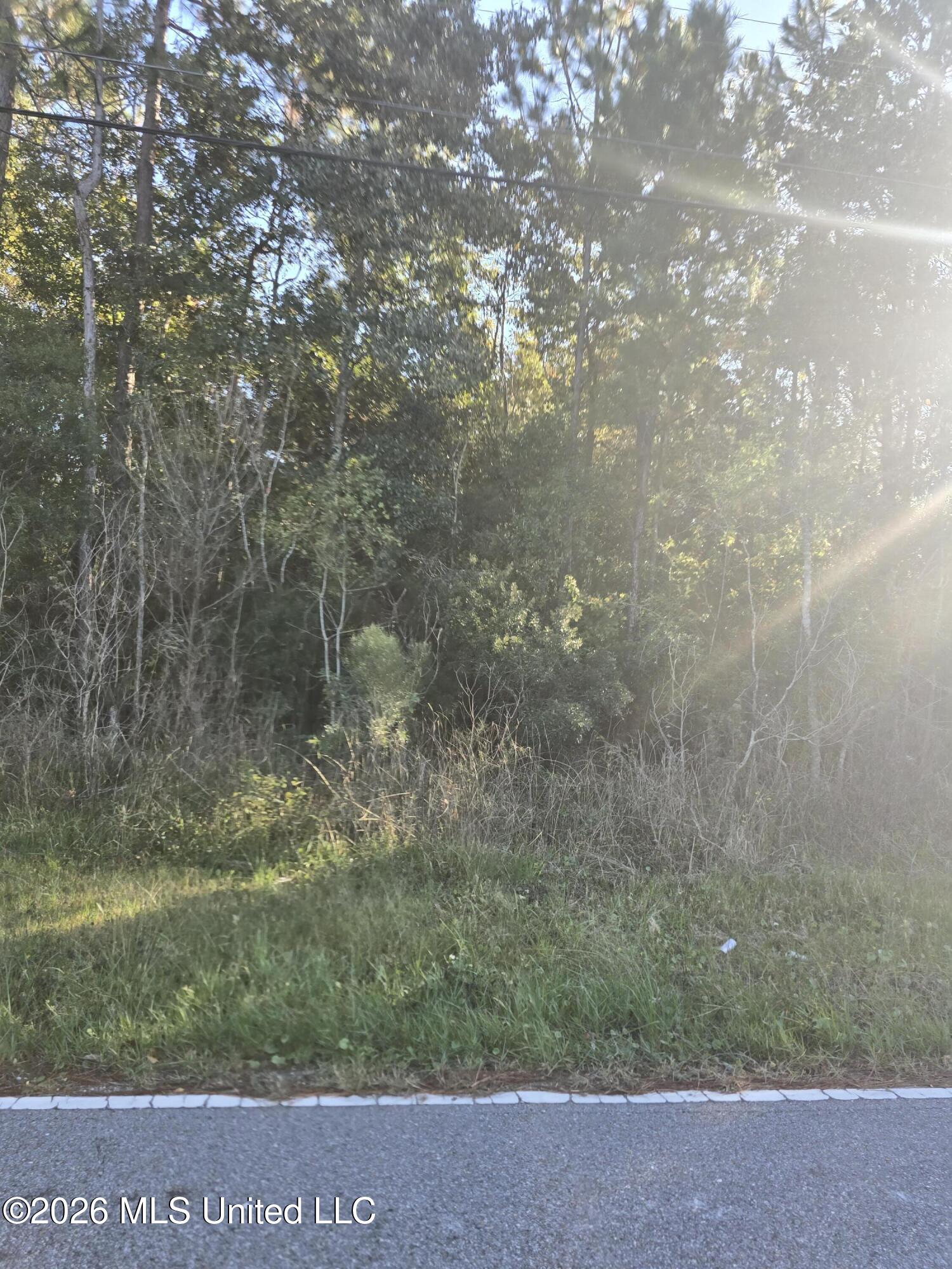Allen Road Vancleave, MS 39565 - Photo 1 of 1 LEMON ALLEN RD.
