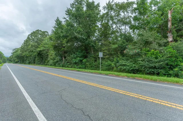 a view of a road with a trees from a window
