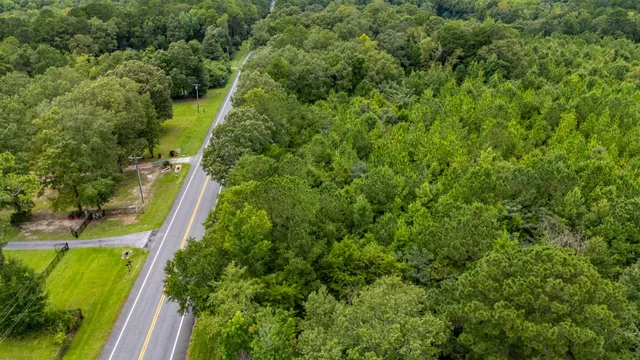 a view of a yard with plants