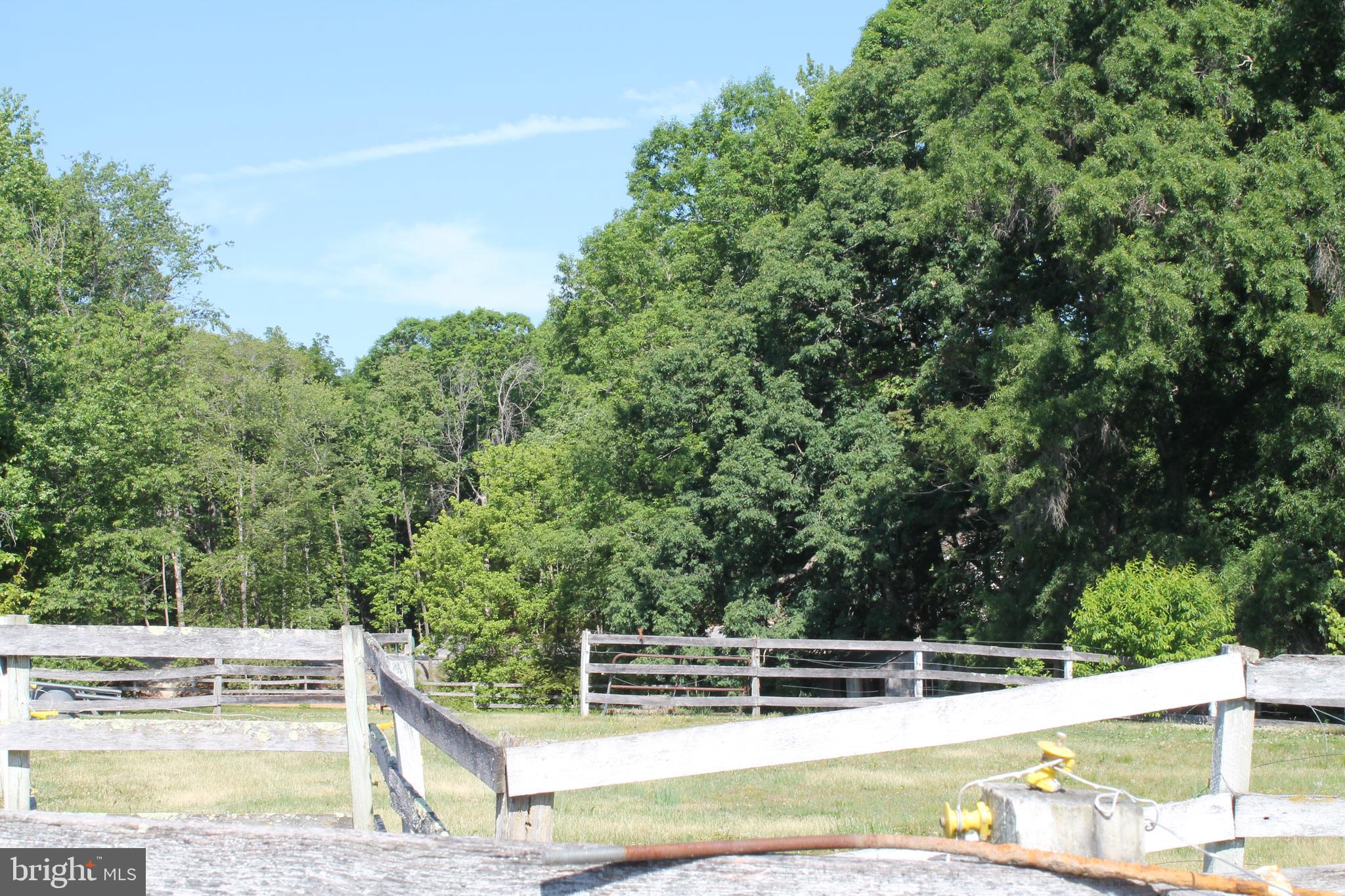 6031 Hickory Ridge Road Spotsylvania, VA 22551 - Photo 19 of 28 partially wooded