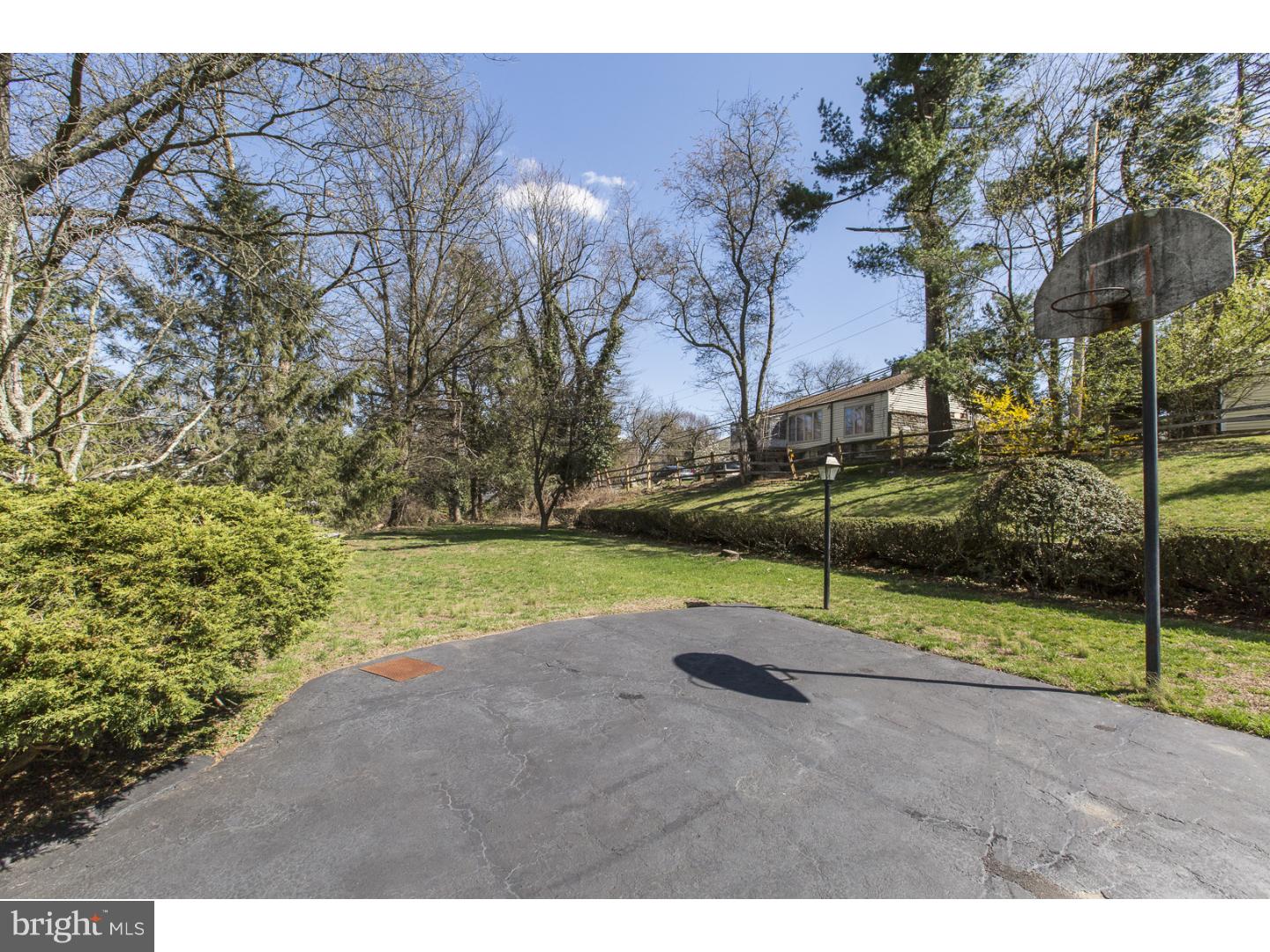 7801 Green Valley Road Wyncote, PA 19095 - Photo 19 of 22 Side Yard