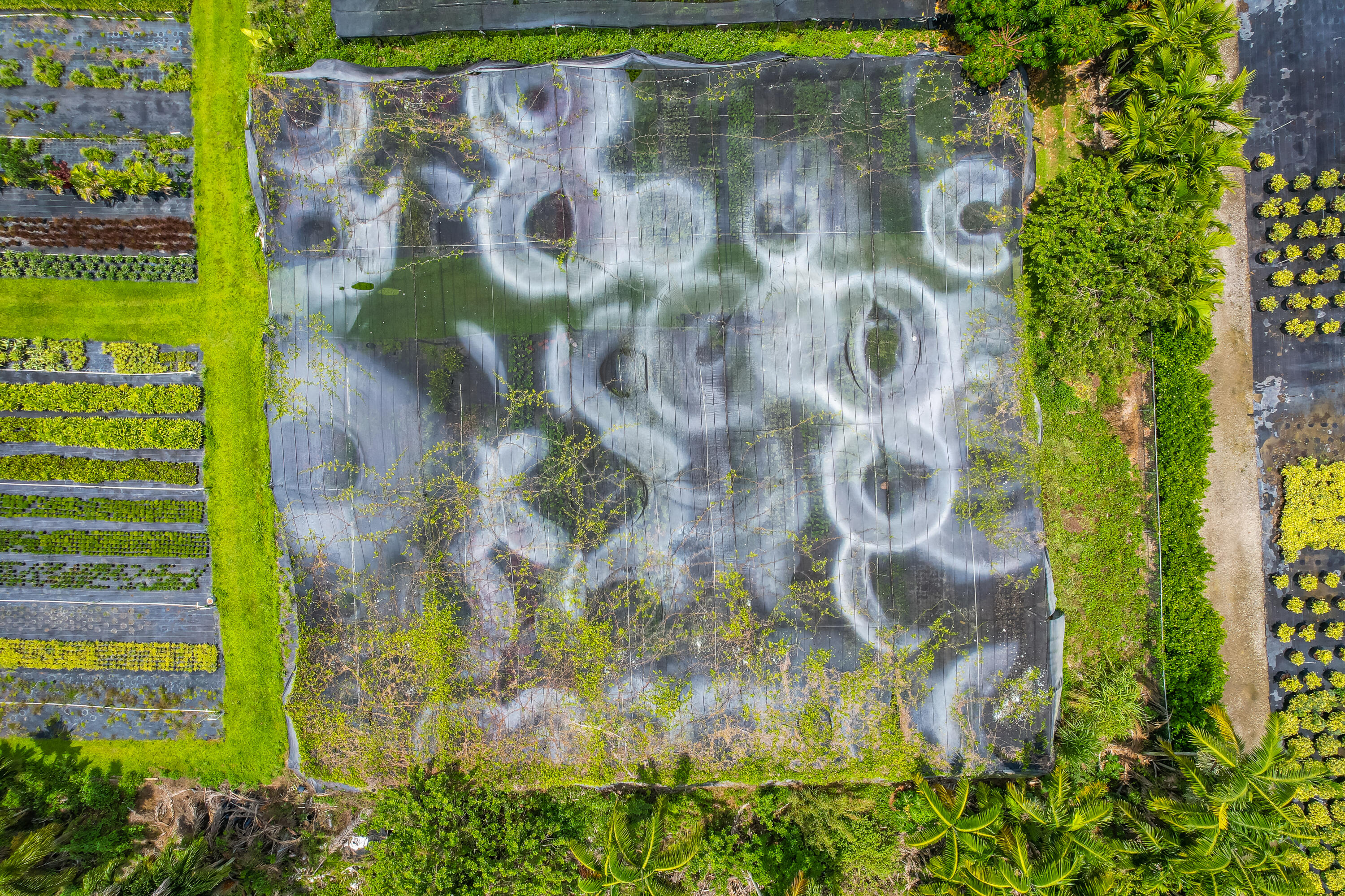 Xxx Southwest 278th Street Homestead, FL 00000 - Photo 11 of 29 a view of a garden