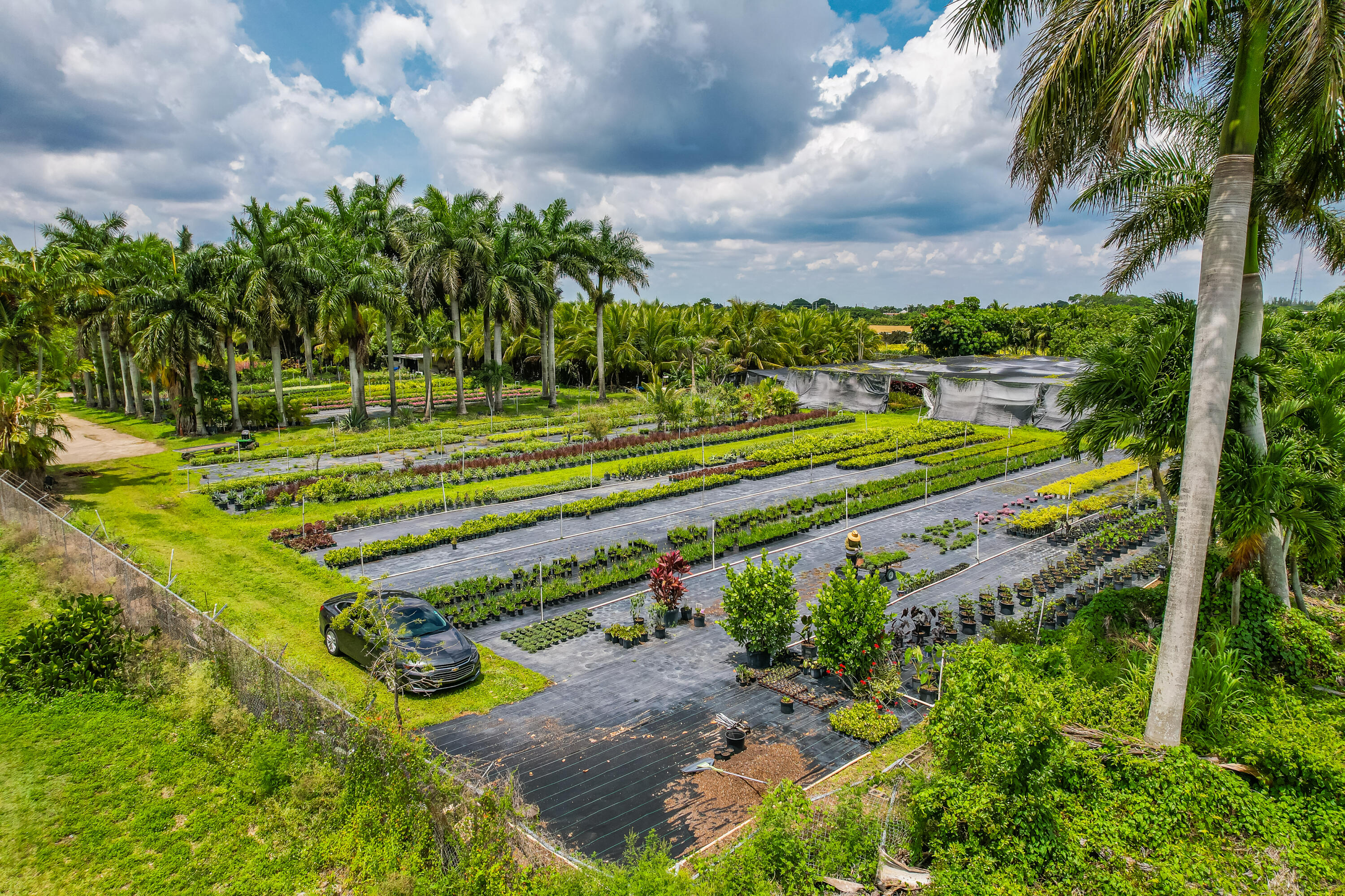Xxx Southwest 278th Street Homestead, FL 00000 - Photo 12 of 29 a view of a yard with a swimming pool