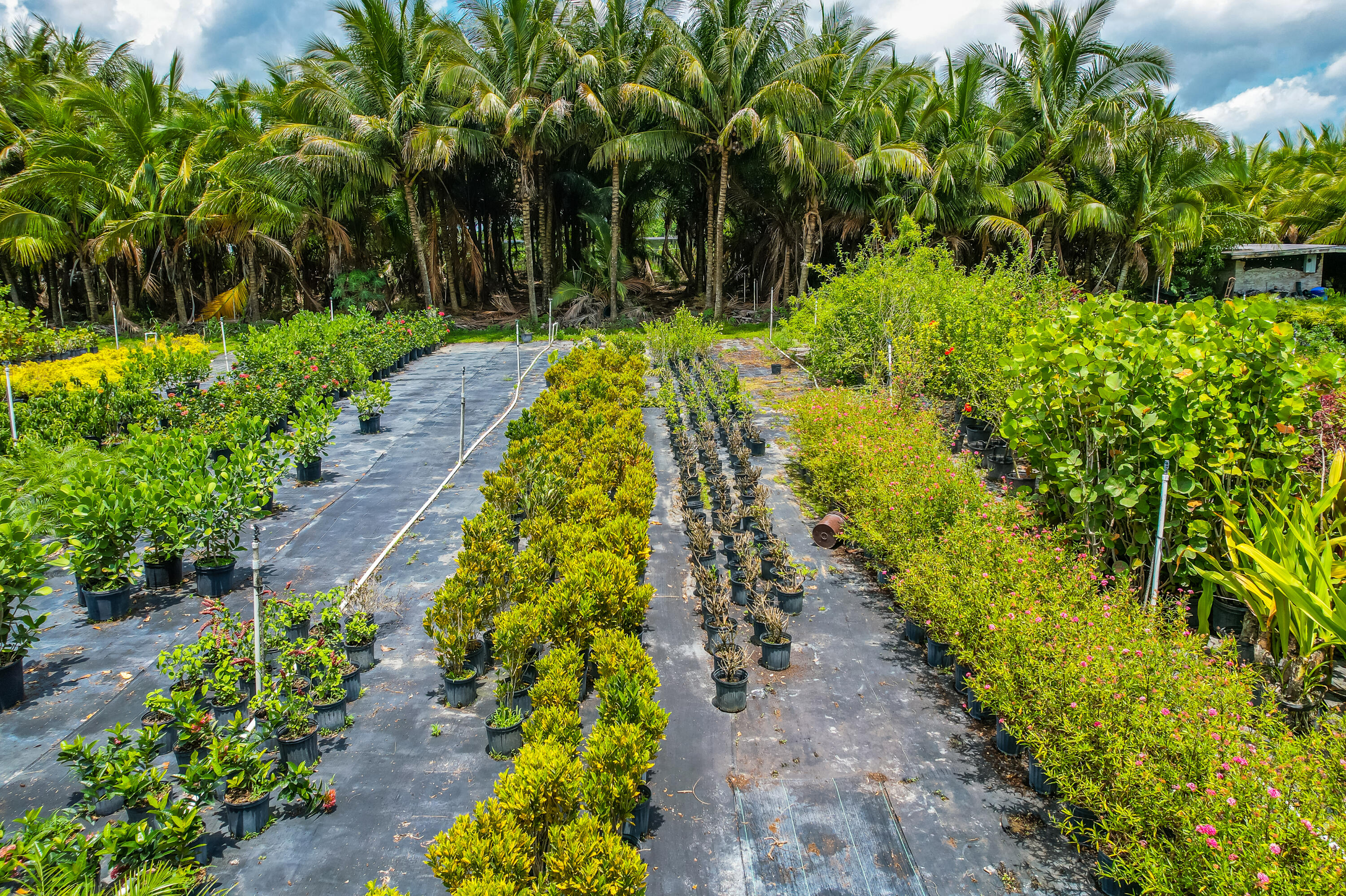 Xxx Southwest 278th Street Homestead, FL 00000 - Photo 14 of 29 a view of a garden with pathway