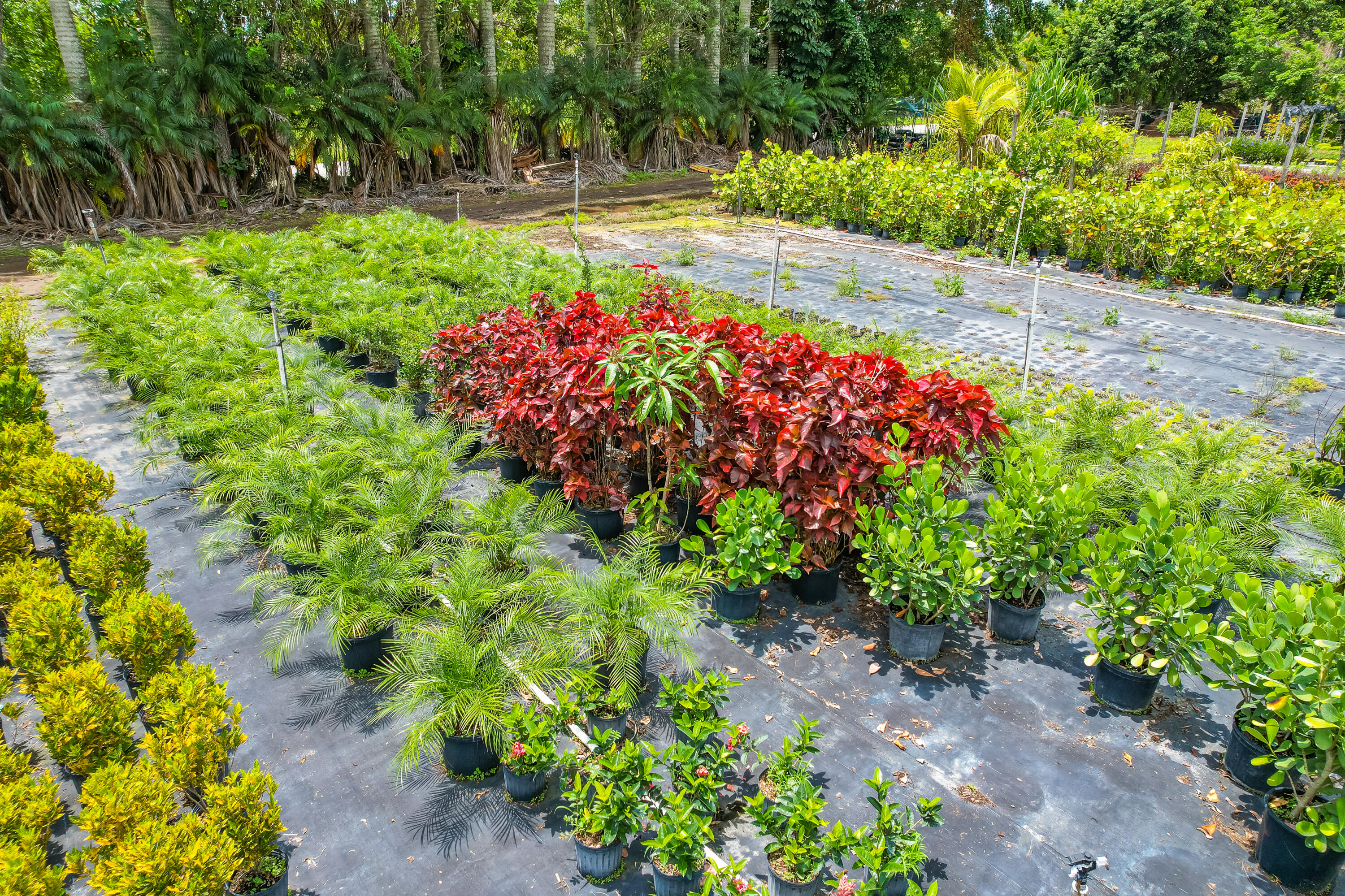 Xxx Southwest 278th Street Homestead, FL 00000 - Photo 15 of 29 a view of a garden with flowers