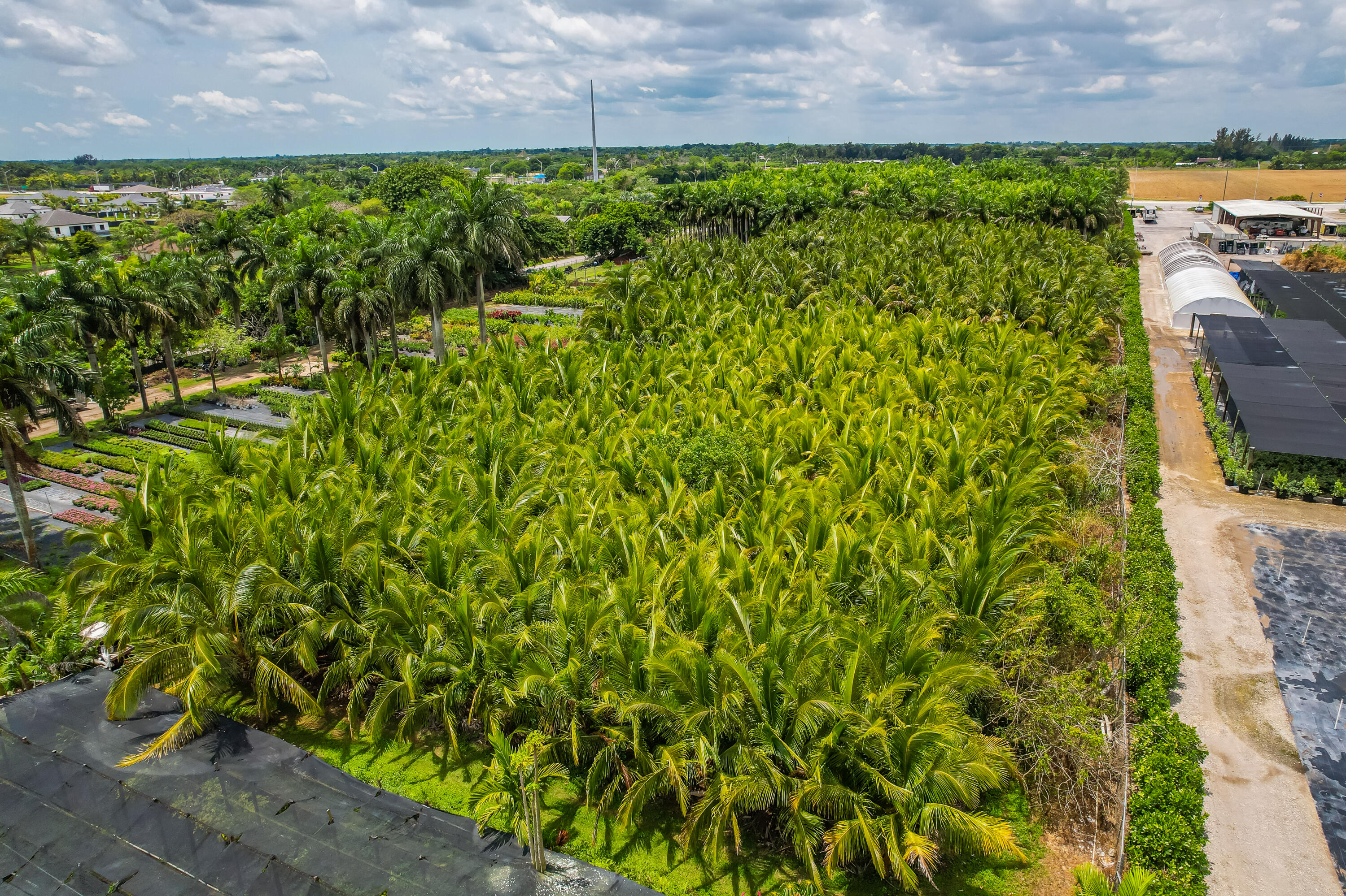 Xxx Southwest 278th Street Homestead, FL 00000 - Photo 8 of 29 a view of a garden