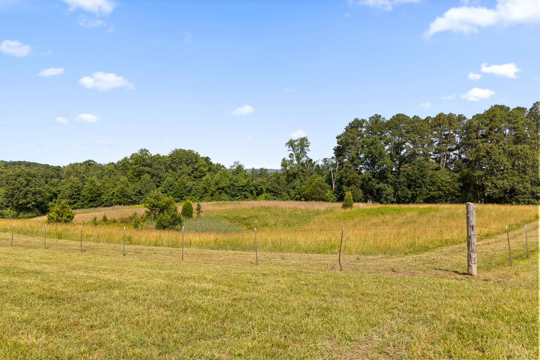 3069 Smyrna Road Dayton, TN 37321 - Photo 26 of 28 Smyrna (23 of 31)