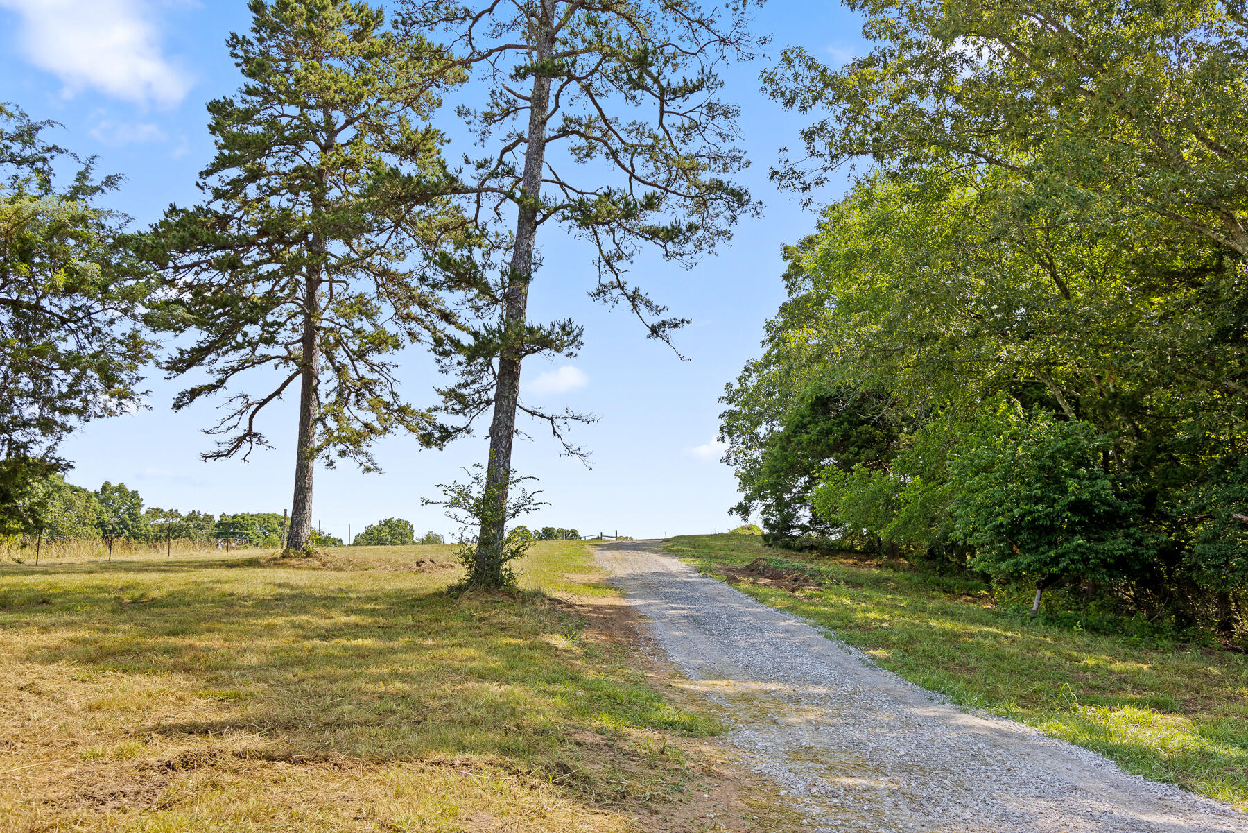 3069 Smyrna Road Dayton, TN 37321 - Photo 6 of 28 Smyrna (22 of 31)