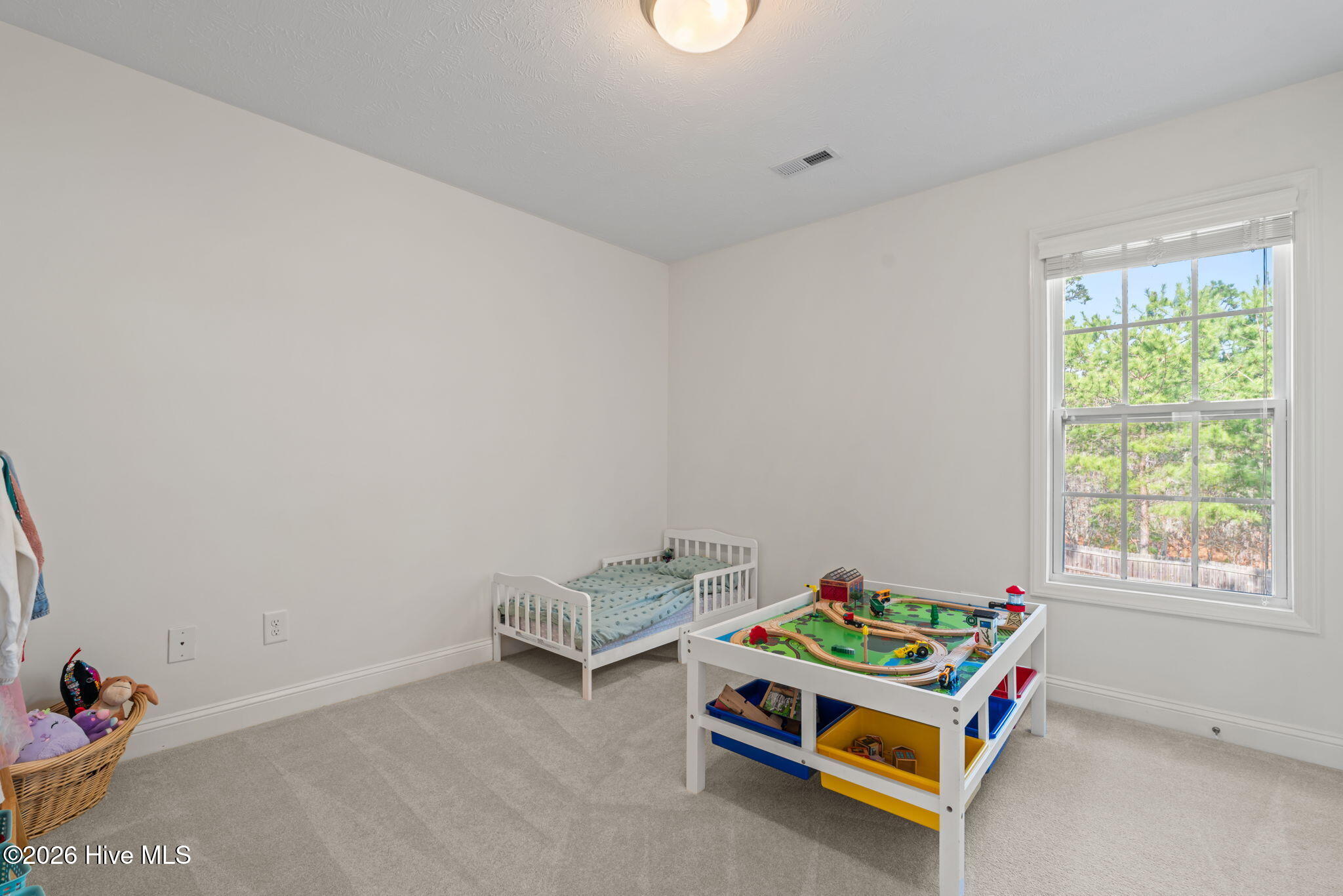 264 Spring Flowers Drive Cameron, NC 28326 - Photo 28 of 60 11-web-or-mls-DSC07664