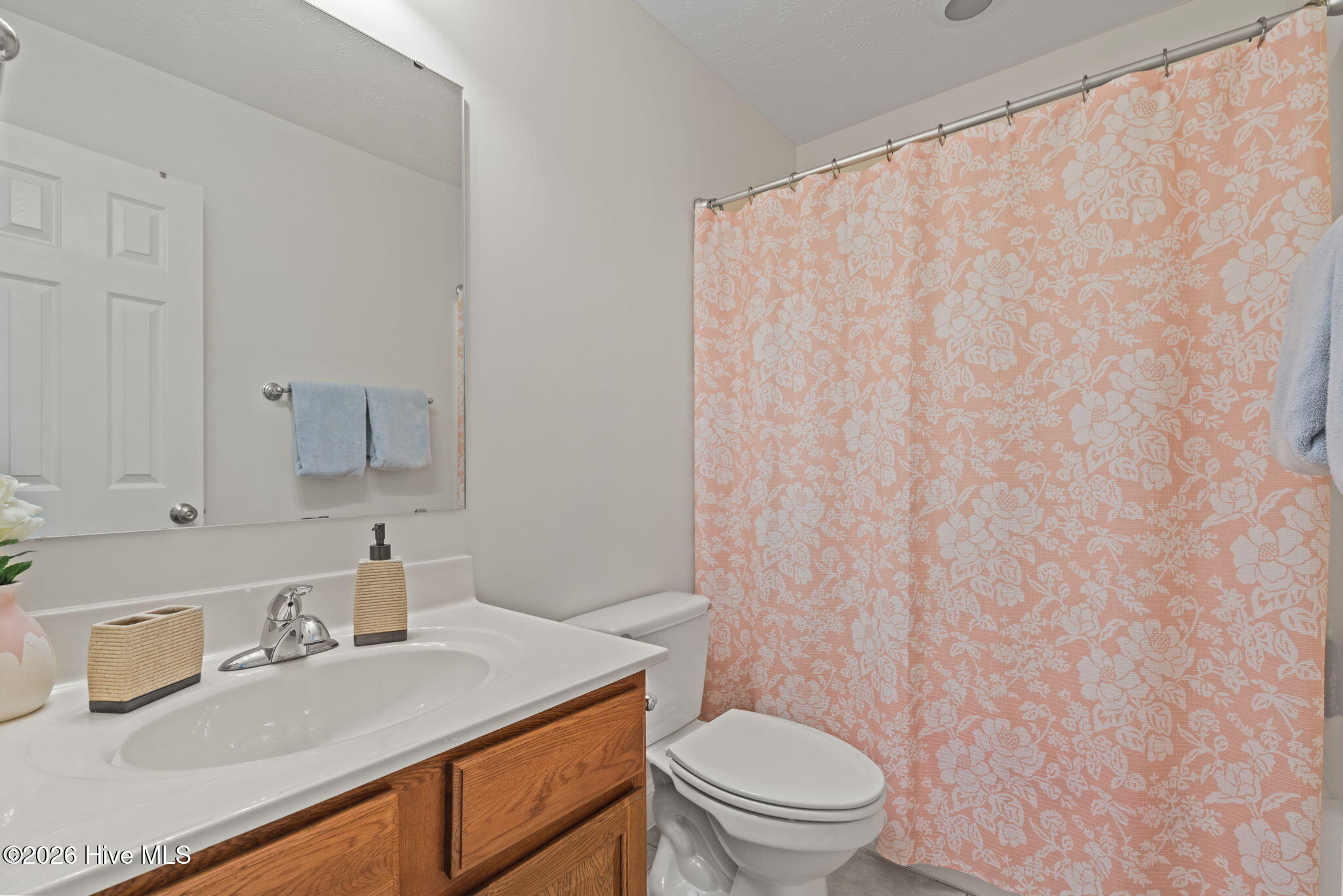 264 Spring Flowers Drive Cameron, NC 28326 - Photo 29 of 60 12-web-or-mls-DSC07670