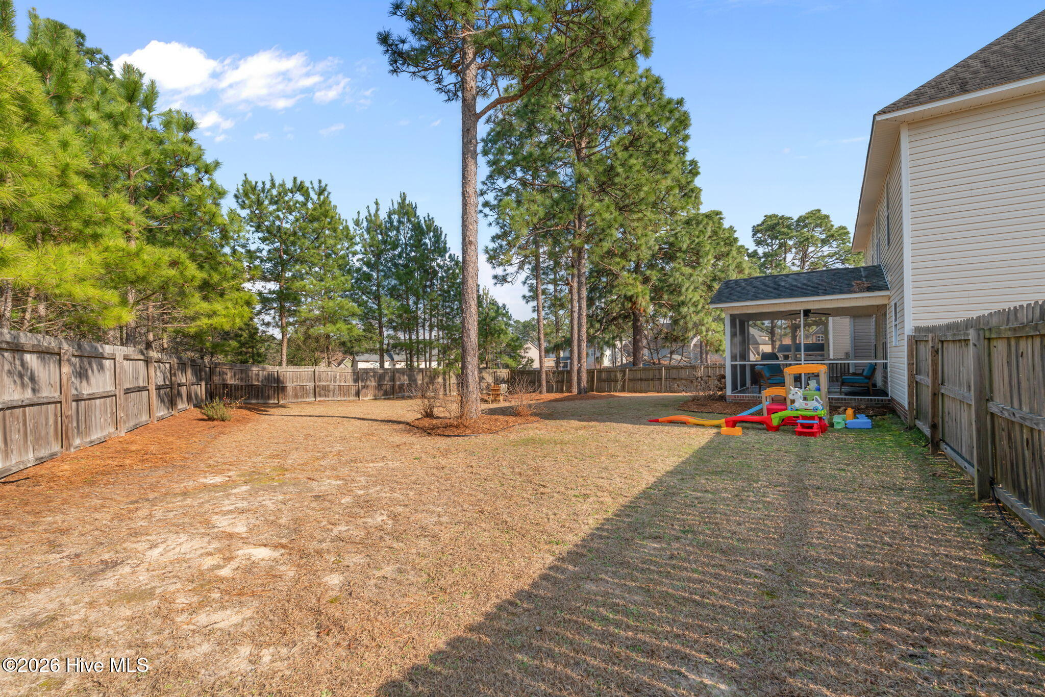 264 Spring Flowers Drive Cameron, NC 28326 - Photo 46 of 60 47-web-or-mls-DSC07805