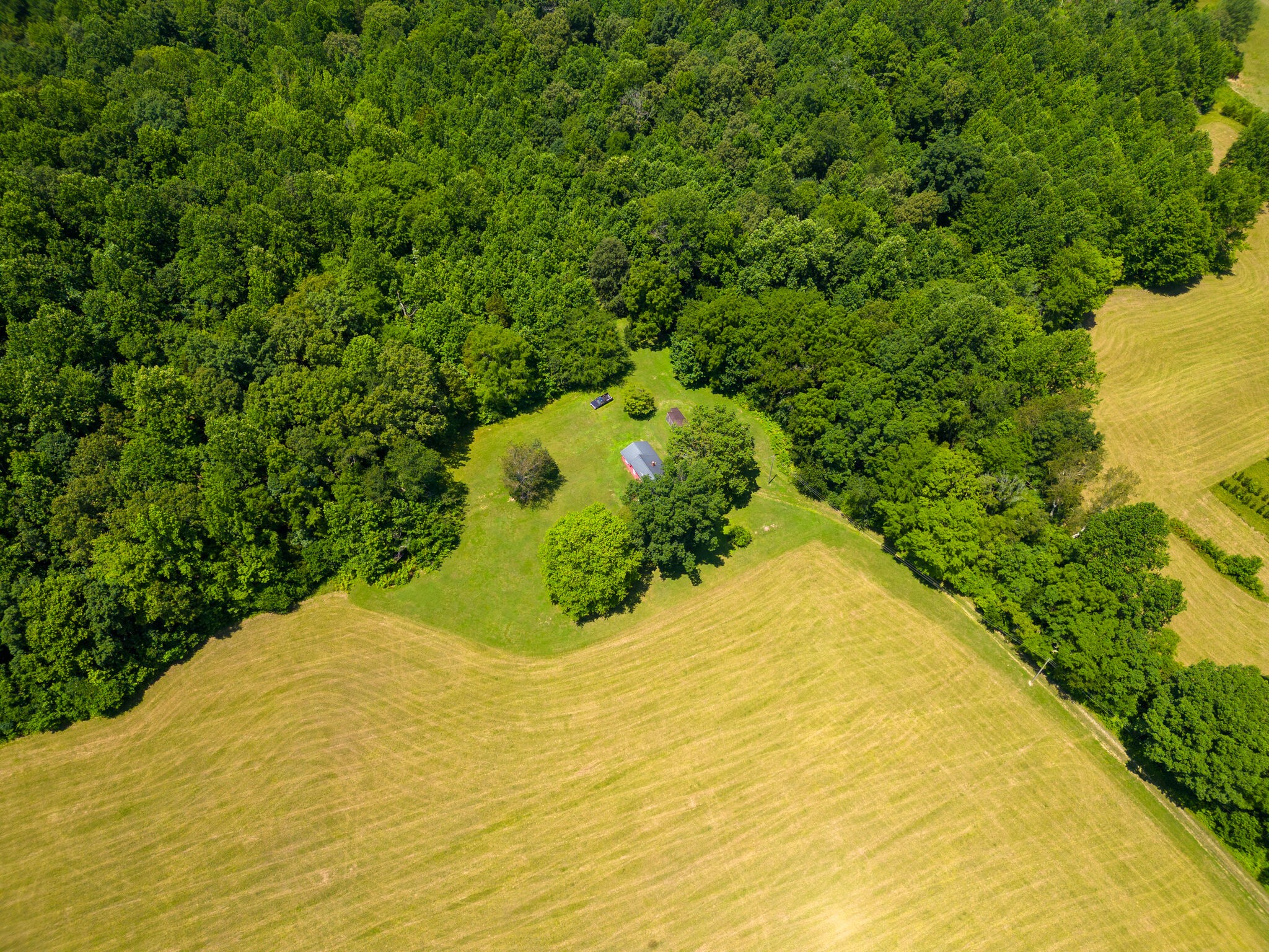 1725 Rock Bridge Road Bethpage, TN 37022 - Photo 4 of 31 a view of a garden