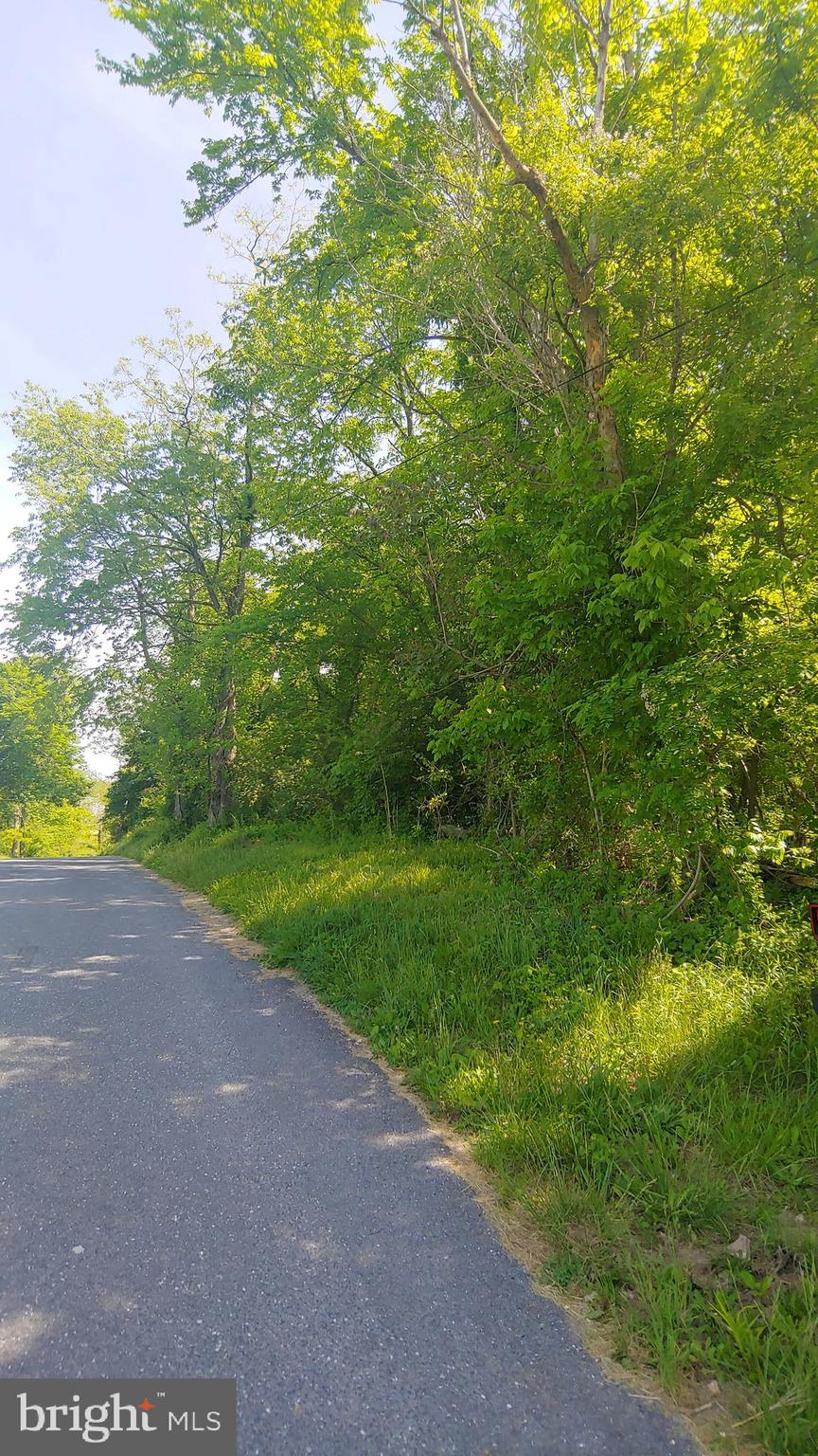 0 Hines Road Frederick, MD 21704 - Photo 4 of 7 Beautiful Tree lined Hines Road
