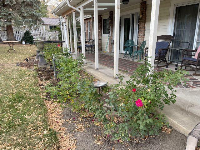 810 Clinton Street Ridgway, CO 81432 - Photo 3 of 29 IMG_4210