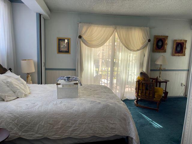 810 Clinton Street Ridgway, CO 81432 - Photo 10 of 29 IMG_4248
